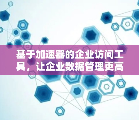 基于加速器的企业访问工具，让企业数据管理更高效