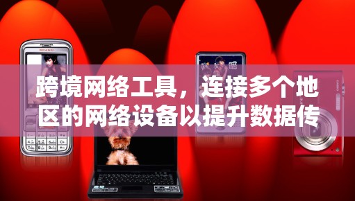 跨境网络工具,连接多个地区的网络设备以提升数据传输效率