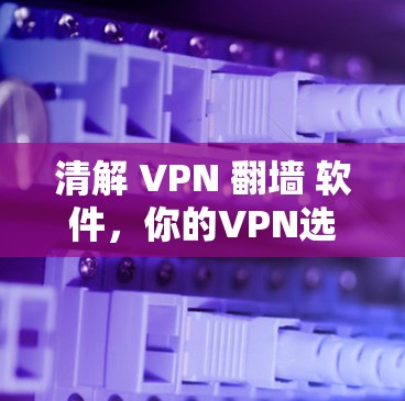清解 VPN 翻墙 软件,你的VPN选择在哪?