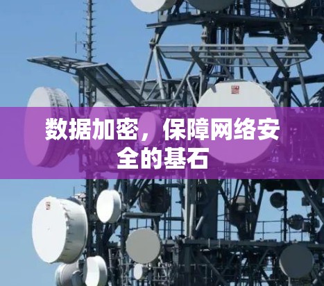 数据加密,保障网络安全的基石