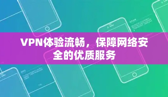 VPN体验流畅,保障网络安全的优质服务