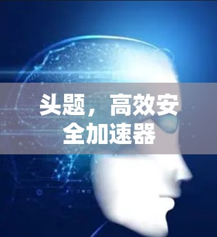 头题，高效安全加速器