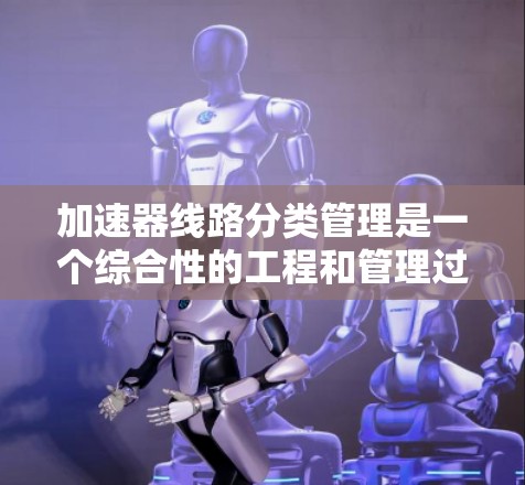 加速器线路分类管理是一个综合性的工程和管理过程，涉及多个环节，旨在优化设计、提高效率并降低成本。以下是该过程的详细分析和总结