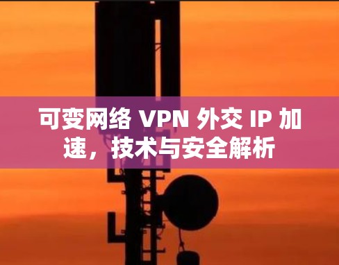 可变网络 VPN 外交 IP 加速,技术与安全解析