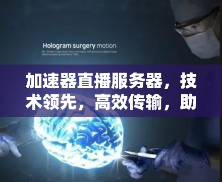 加速器直播服务器，技术领先，高效传输，助力直播效果