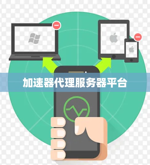加速器代理服务器平台