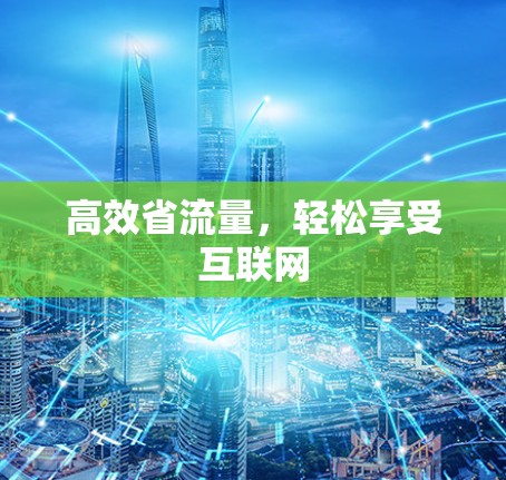 高效省流量，轻松享受互联网