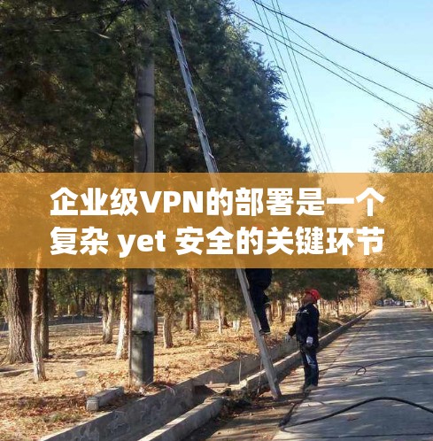 企业级VPN的部署是一个复杂 yet 安全的关键环节，涉及多方面的技术知识和实践。以下是对企业级VPN部署的简要步骤和建议，帮助您更好地理解和实施