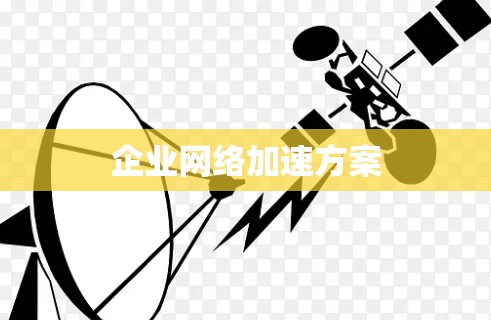 企业网络加速方案