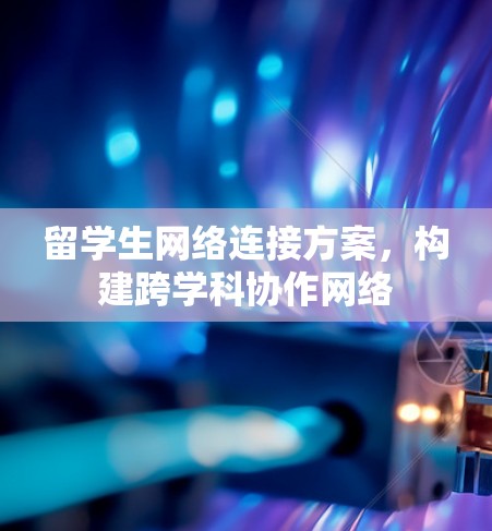 留学生网络连接方案,构建跨学科协作网络