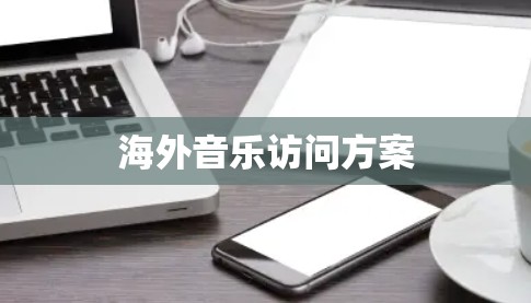 海外音乐访问方案
