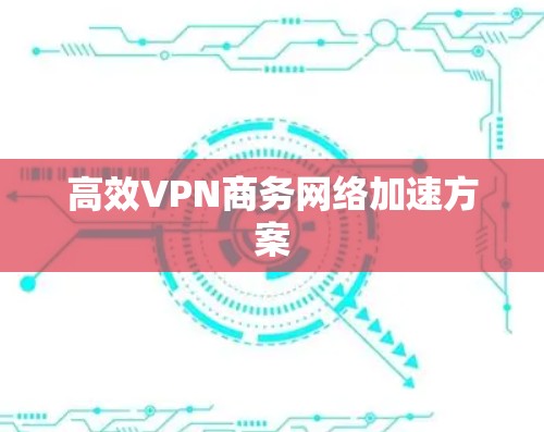 高效VPN商务网络加速方案