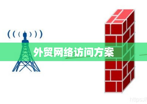 外贸网络访问方案