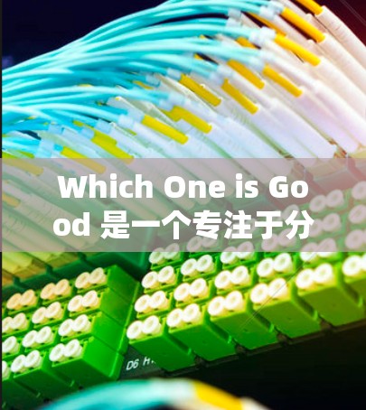 Which One is Good 是一个专注于分享和管理电竞相关游戏和比赛数据的直播平台，用户可以上传自己的游戏、比赛数据或代码。以下是对该工具的详细介绍