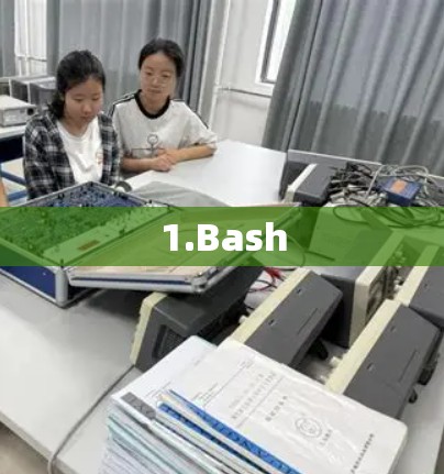 1.Bash