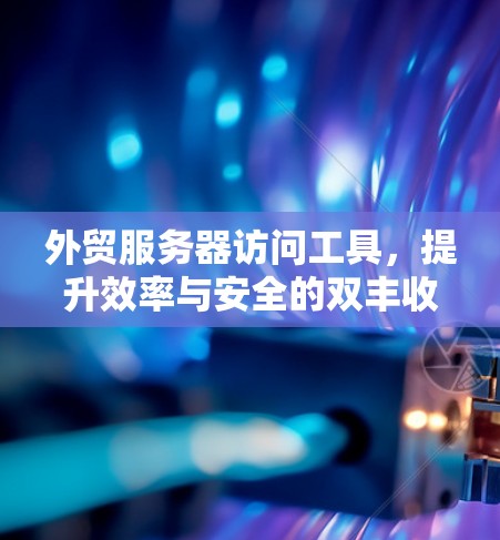 外贸服务器访问工具，提升效率与安全的双丰收