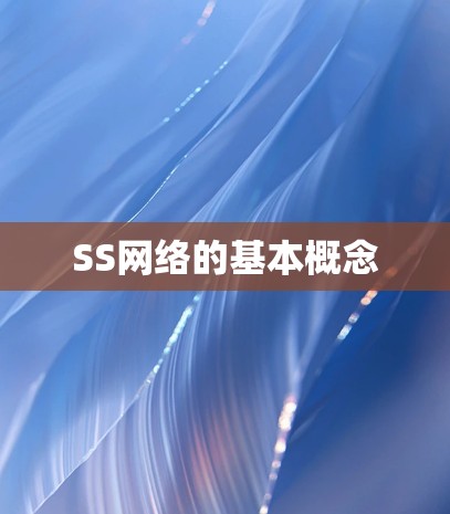 SS网络的基本概念