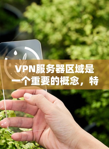 VPN服务器区域是一个重要的概念,特别是在全球化背景下,各国和地区在提供VPN服务时都有其独特的特点和优势。以下是对 VPN 服务器区域的分析和总结