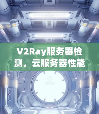 V2Ray服务器检测,云服务器性能全面评估与优化策略