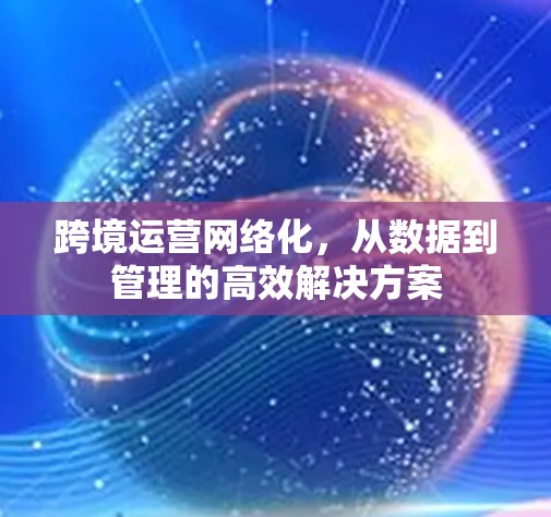 跨境运营网络化,从数据到管理的高效解决方案