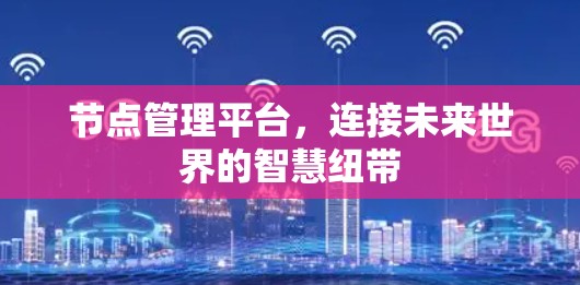 节点管理平台，连接未来世界的智慧纽带