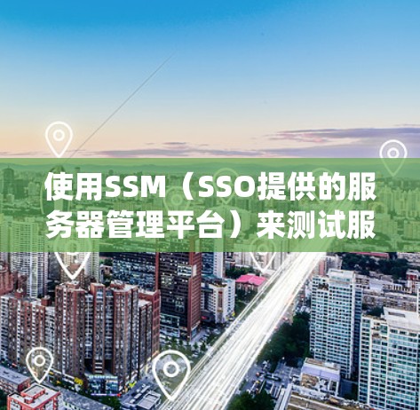 使用SSM(SSO提供的服务器管理平台)来测试服务器间连接和负载能力是一个有效的实践。以下是一个有条理的步骤指南,帮助您系统地进行测试