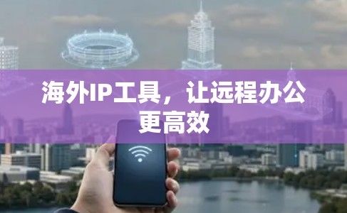 海外IP工具,让远程办公更高效