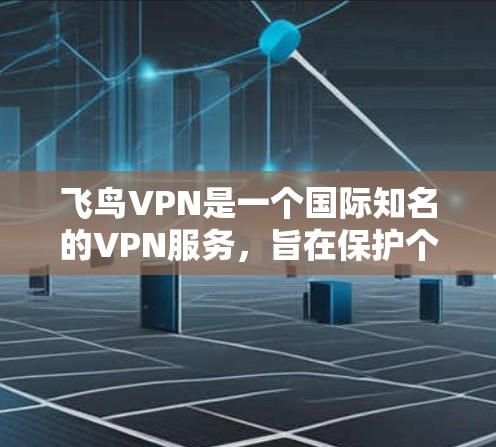 飞鸟VPN是一个国际知名的VPN服务，旨在保护个人数据和网络安全。以下是关于飞鸟VPN的详细介绍
