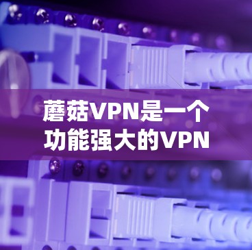 蘑菇VPN是一个功能强大的VPN服务,适合追求高效娱乐和快速连接的用户。以下是对蘑菇VPN使用方法的详细指南
