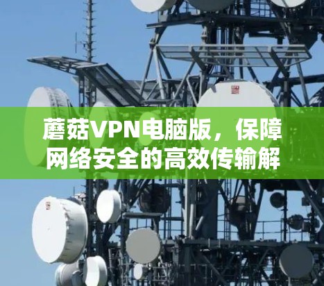 蘑菇VPN电脑版,保障网络安全的高效传输解决方案