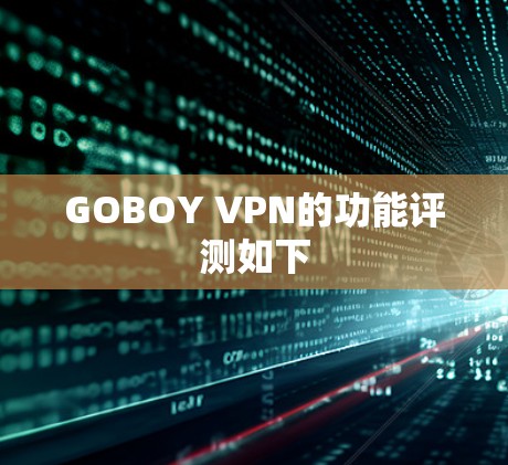 GOBOY VPN的功能评测如下