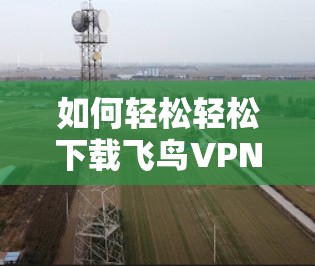 如何轻松轻松下载飞鸟VPN软件
