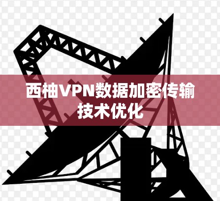 西柚VPN数据加密传输技术优化