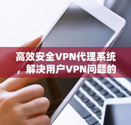 高效安全VPN代理系统,解决用户VPN问题的解决方案