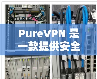 PureVPN 是一款提供安全和可靠VPN服务的平台，用户可以在其官网下载并使用其功能。以下是 PureVPN 官网的下载器推荐