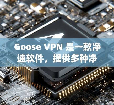 Goose VPN 是一款净速软件，提供多种净速服务，包括在线VPN和移动应用。它基于 OpenVPN 核心协议，旨在提供安全、可靠和快速的网络连接。以下是对 Goose VPN 的体验分享