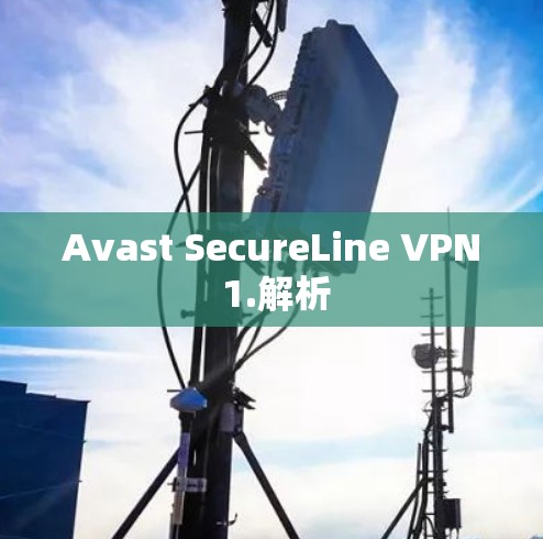 Avast SecureLine VPN 1.解析