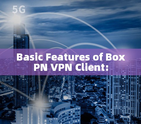 Basic Features of BoxPN VPN Client: