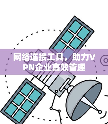 网络连接工具,助力VPN企业高效管理