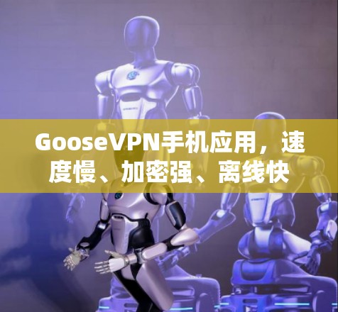 GooseVPN手机应用,速度慢、加密强、离线快