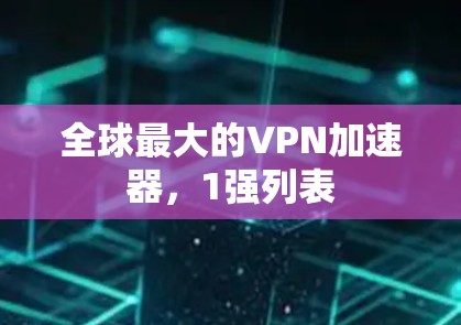 全球最大的VPN加速器，1强列表