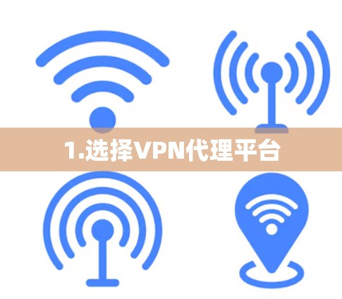 1.选择VPN代理平台