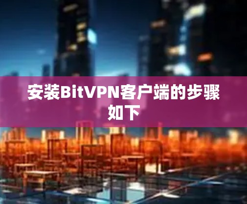 安装BitVPN客户端的步骤如下