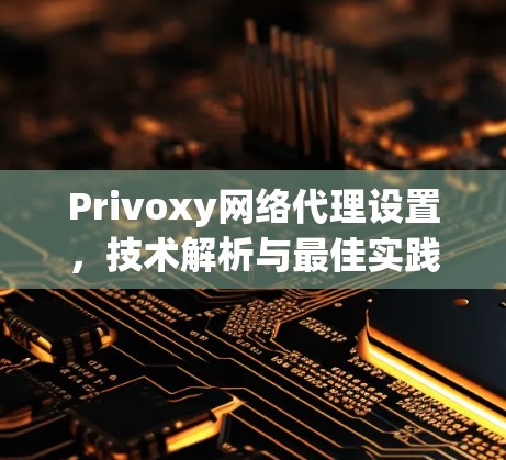 Privoxy网络代理设置，技术解析与最佳实践