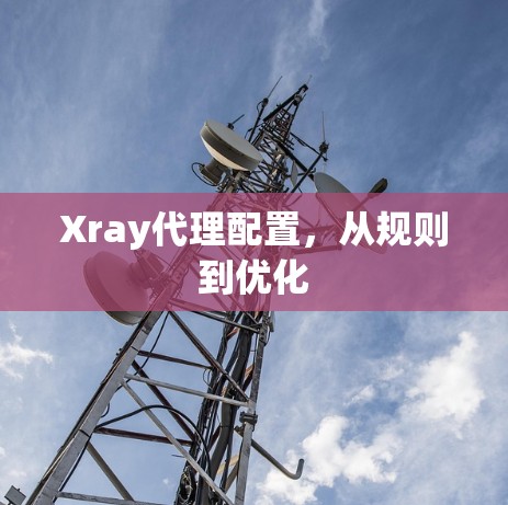 Xray代理配置，从规则到优化