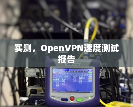 实测,OpenVPN速度测试报告