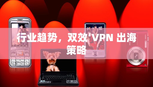 行业趋势,双效’VPN 出海策略