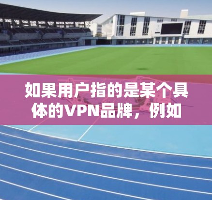 如果用户指的是某个具体的VPN品牌，例如 或 那么这些品牌通常会提供他们的官网入口。以下是一些常见的VPN品牌及其官网入口示例