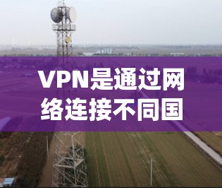 VPN是通过网络连接不同国家或地区的网站，广泛用于远程办公、远程学习和娱乐。然而，国外的VPN存在多种类型，包括国际性、国内性和国际性网站。以下是一个系统的学习指南，帮助您正确使用 VPN